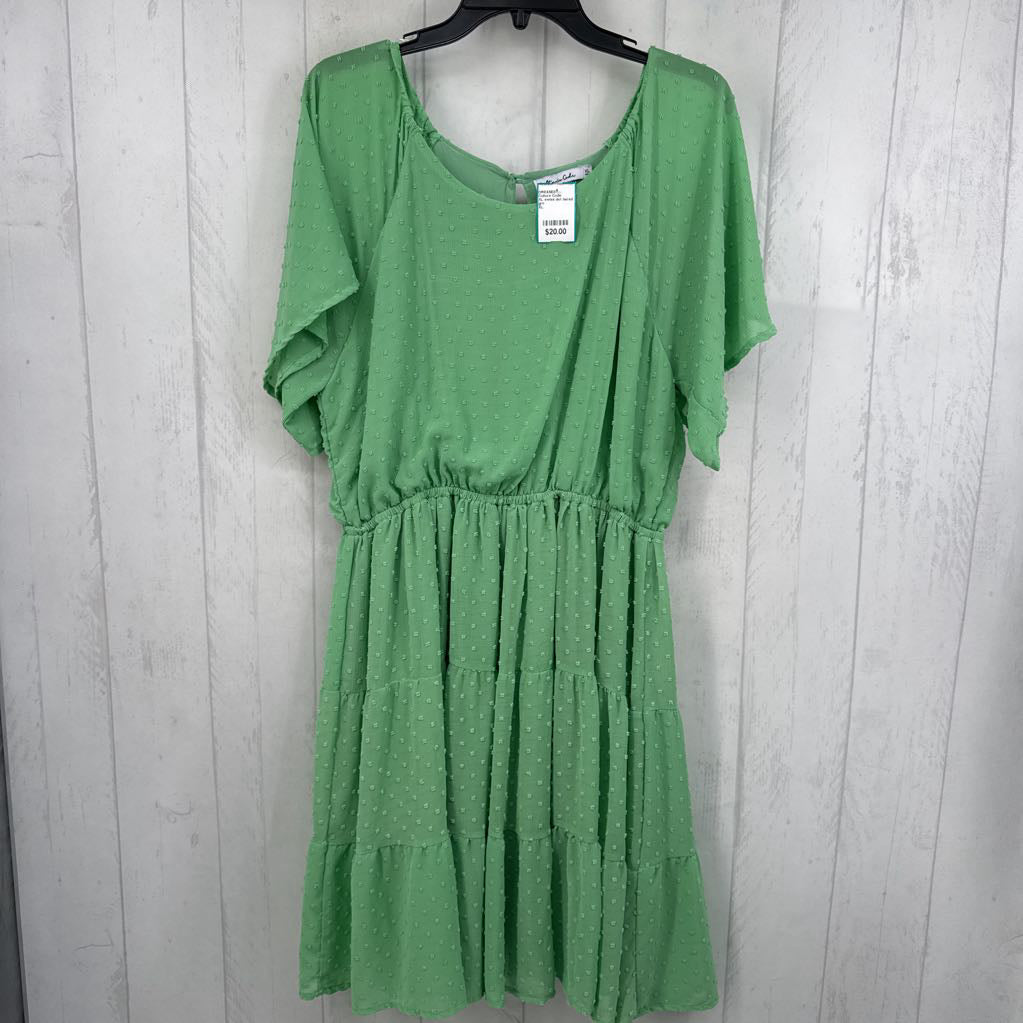 XL swiss dot tiered s/s dress