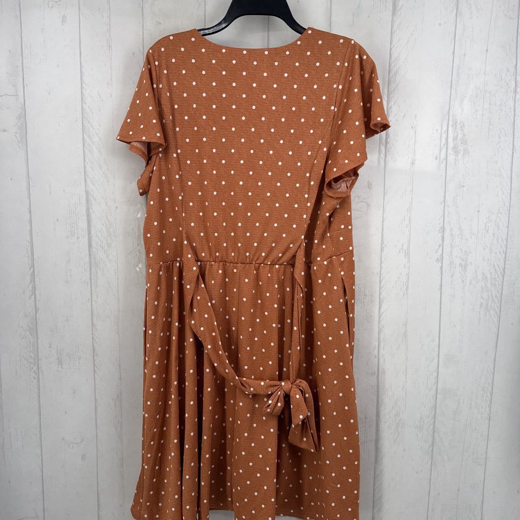 14/16 polka dot crossover s/s dress