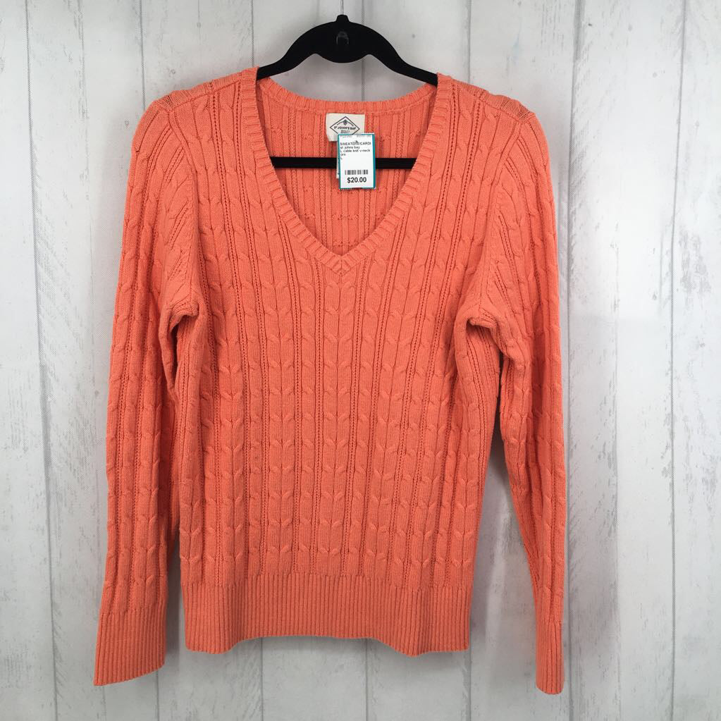 L cable knit v-neck sweater