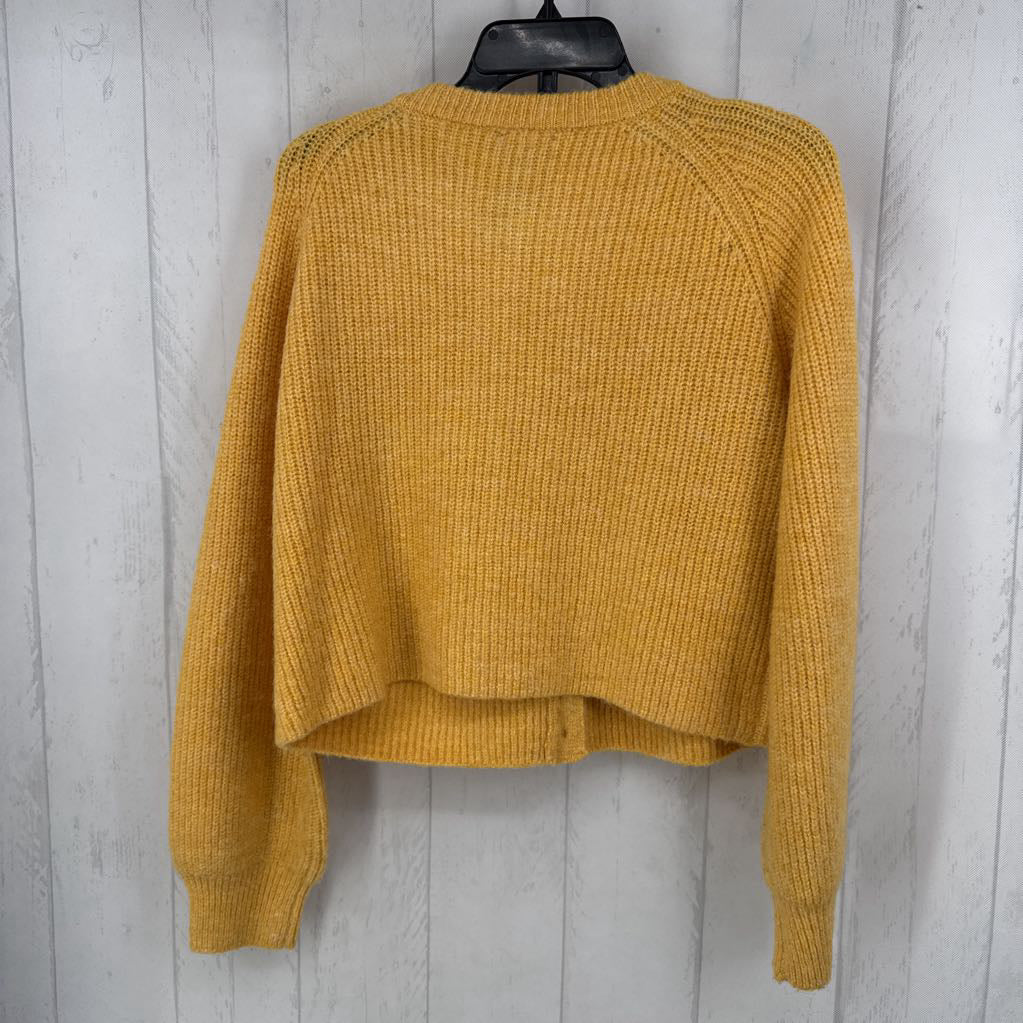 M button down sweater