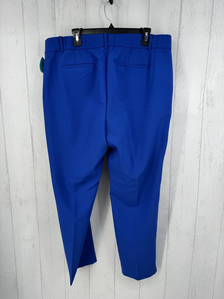 16w ankle pant