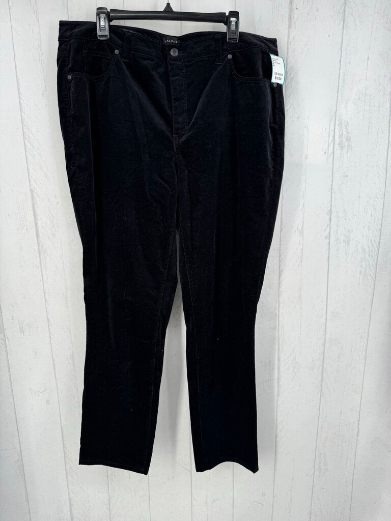16w corduroy straight leg pant