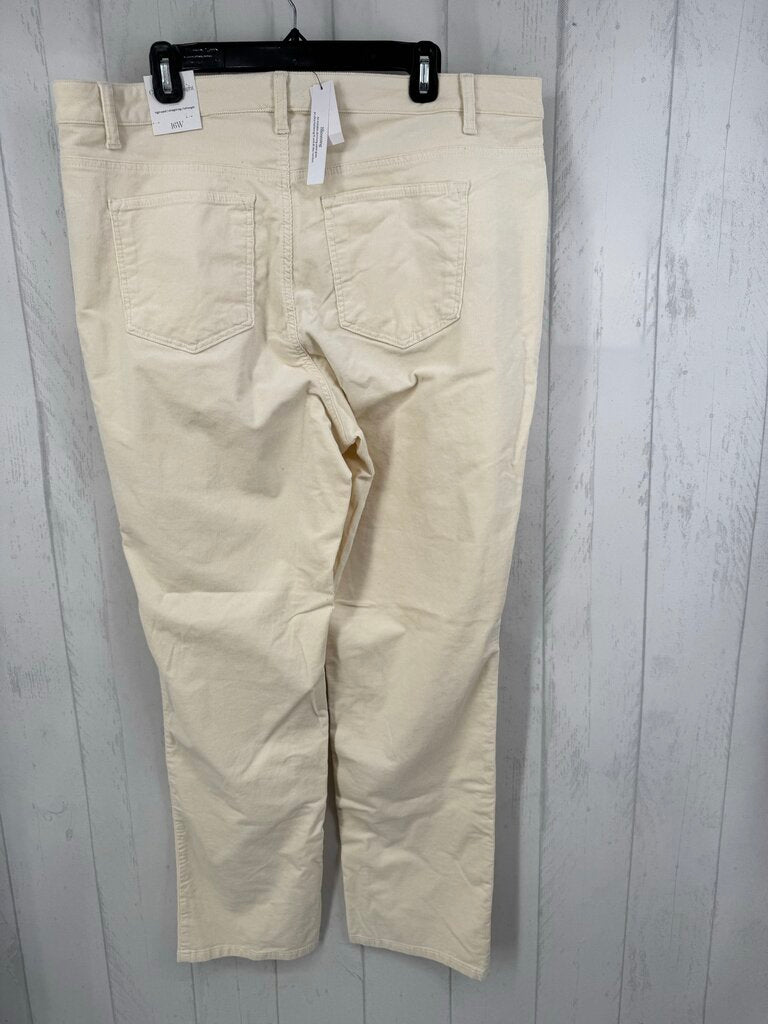 16w corduroy straight leg pant