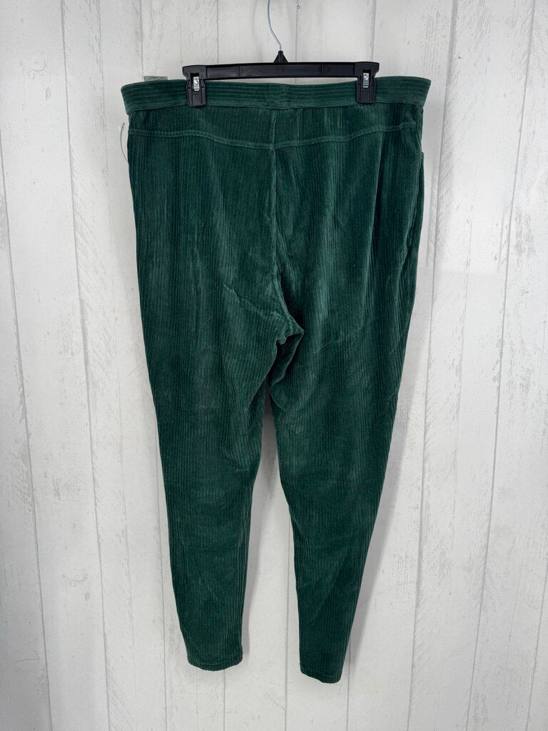 XL velour ribbed pull-on pant