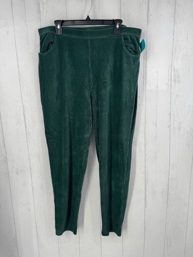 XL velour ribbed pull-on pant
