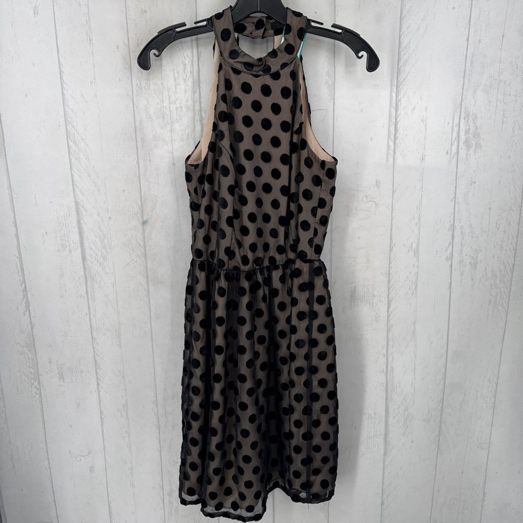 S velvet polka dot open back slvls dress
