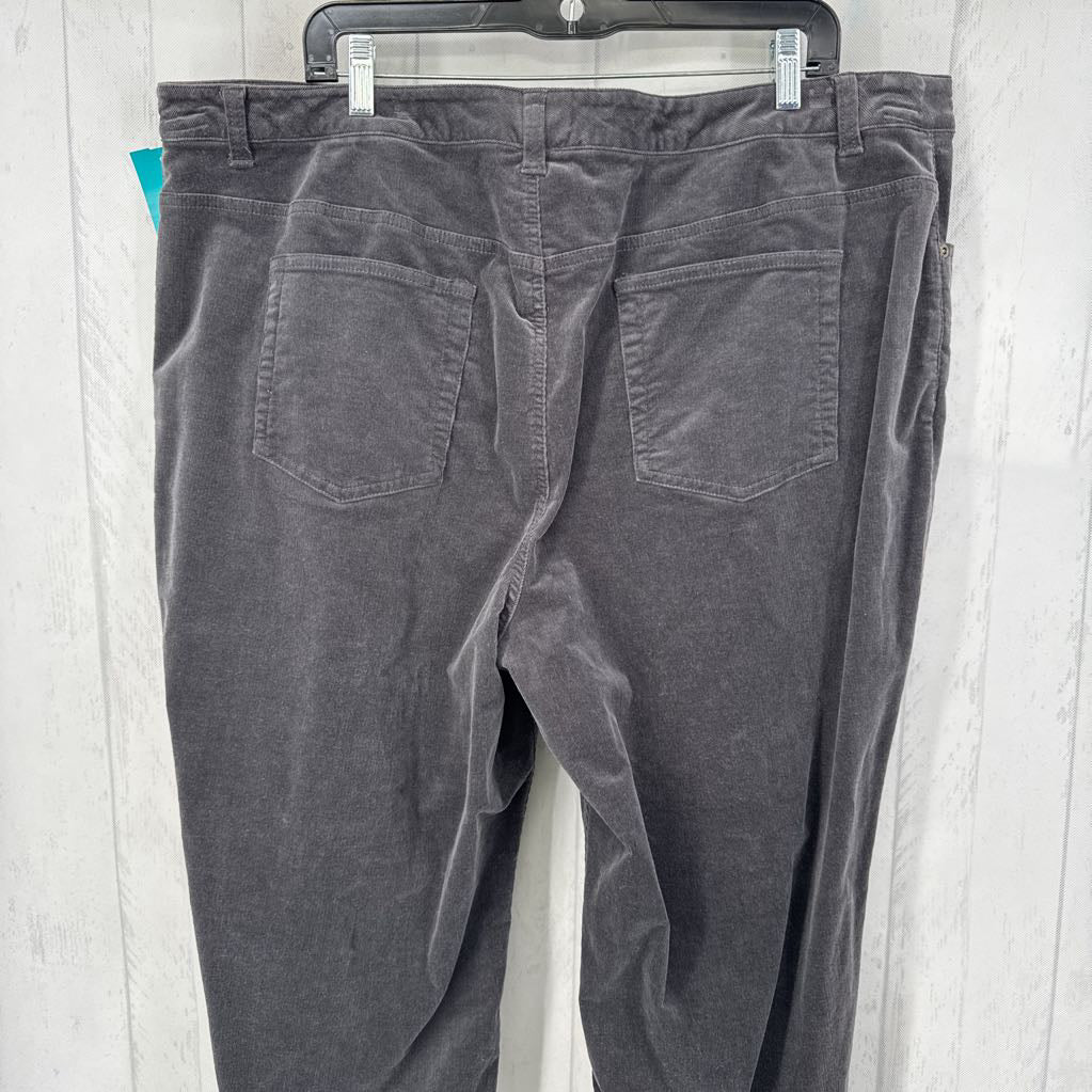 22w corduroy pant