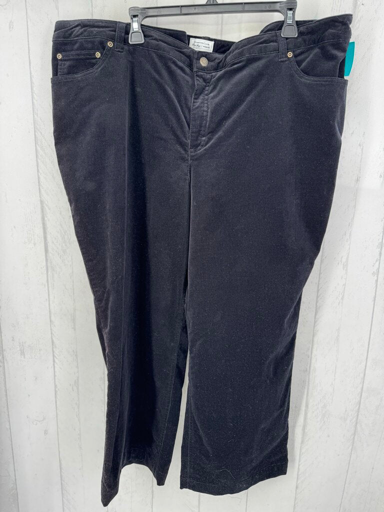 22w corduroy pant