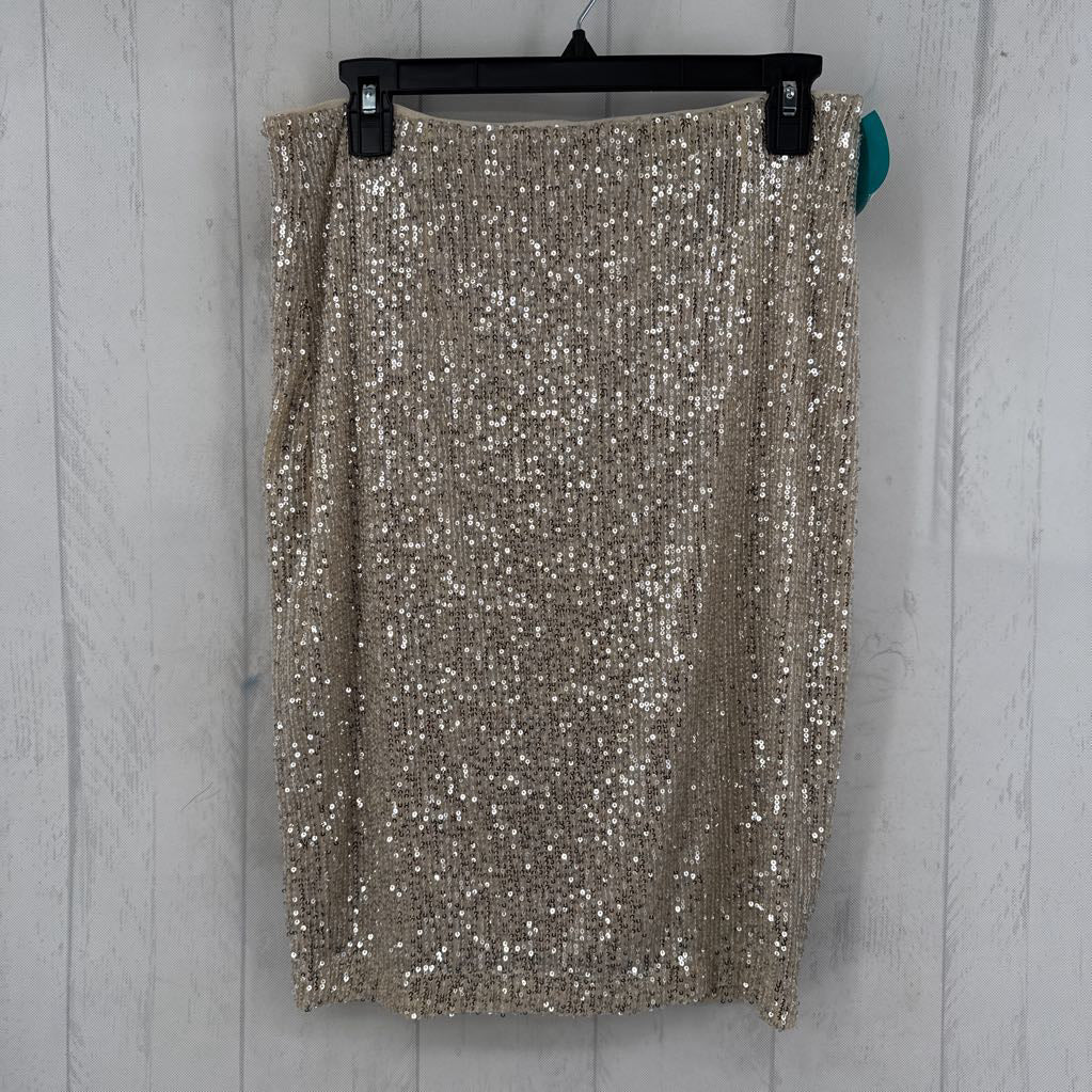 6 sequin skirt