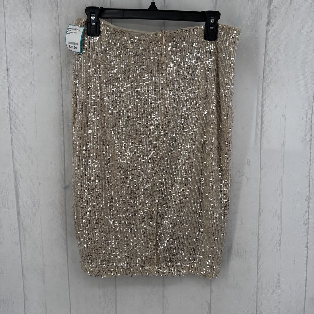 6 sequin skirt