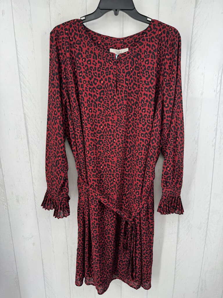 22 animal print notch neck belted l/s dress