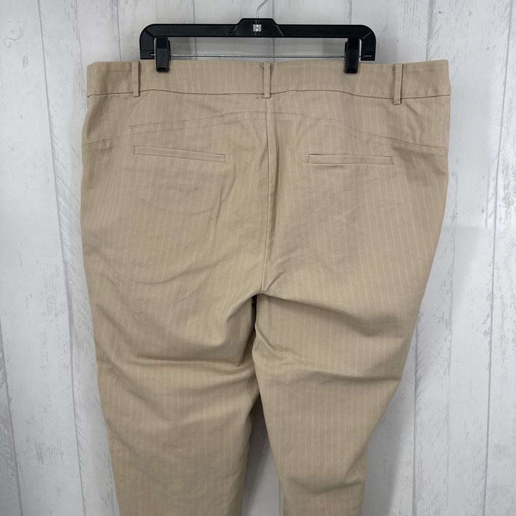 24 striped trouser