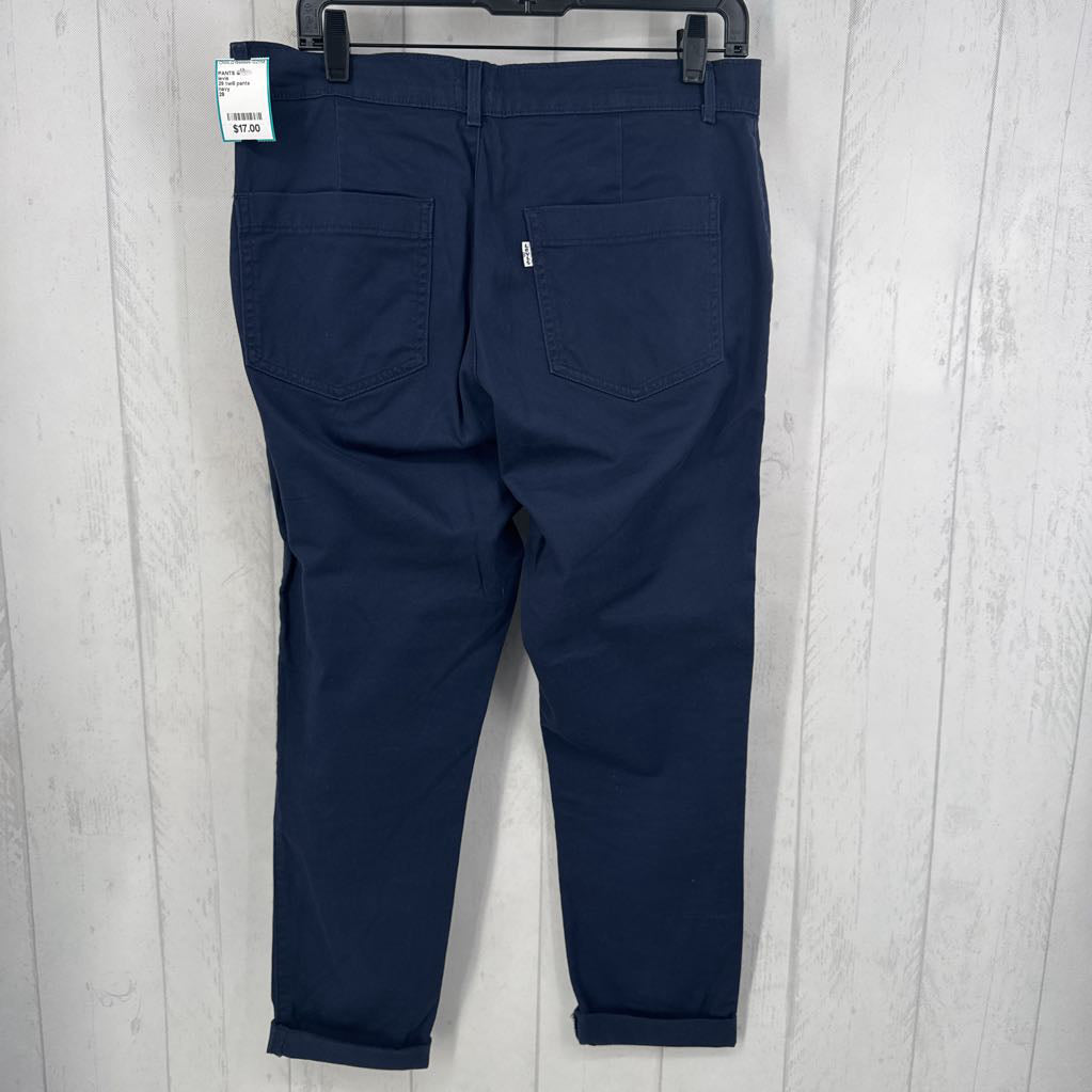 29 twill pants