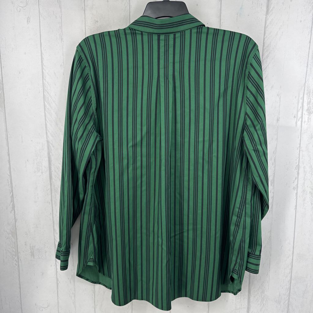 R99 18 striped button down l/s top