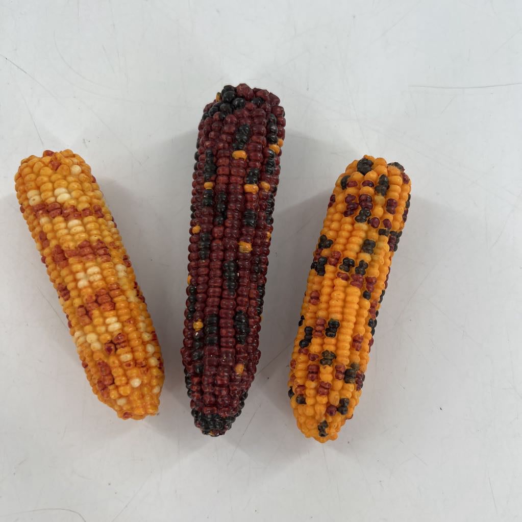 3pc ceramic corn decor