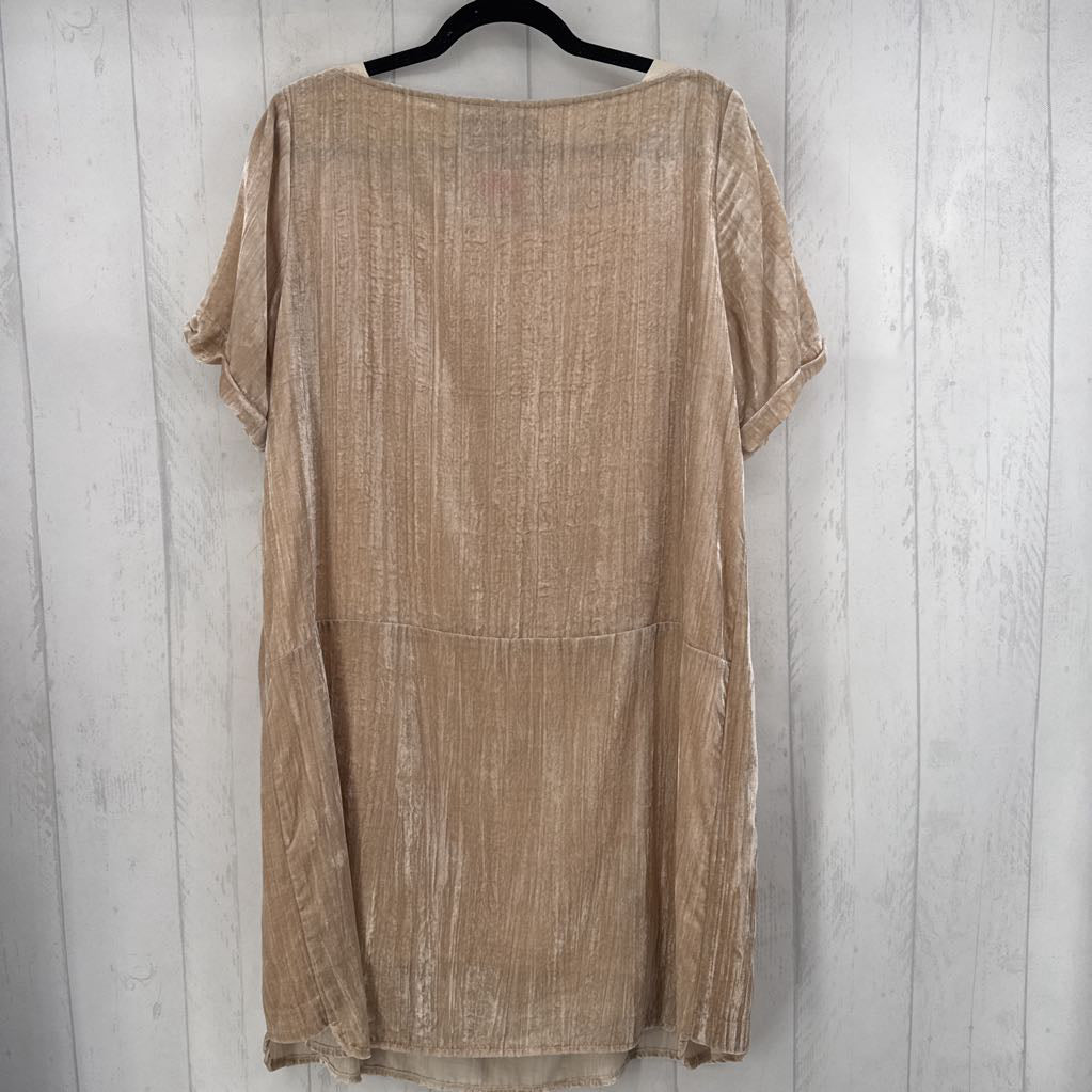 L crushed velvet s/s dress