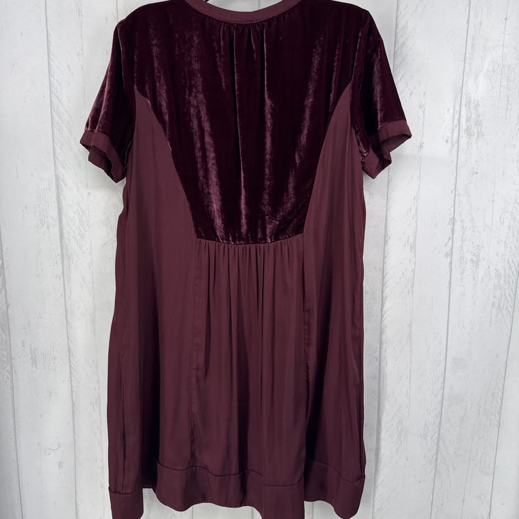 L velvet accent split neck s/s dress