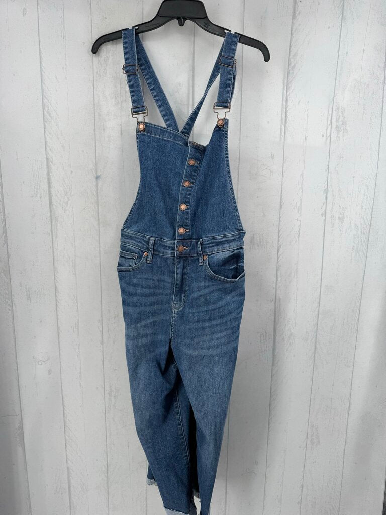L wide leg crop denim overalls