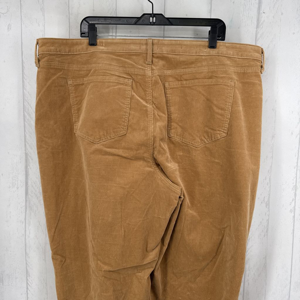 20w corduroy wide leg pant