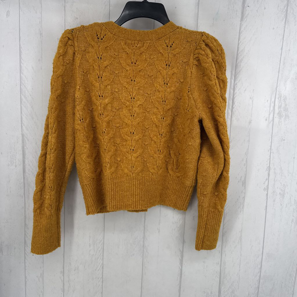 L cable knit button down cardi