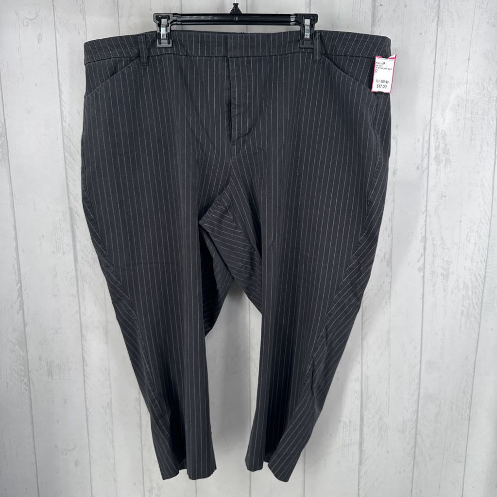26 hi-rise pixie pant