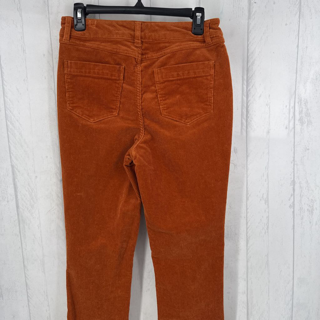 6T corduroy pant