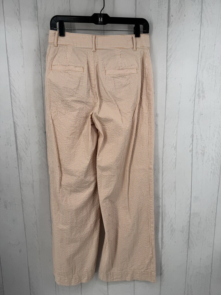 2 striped wide leg pant