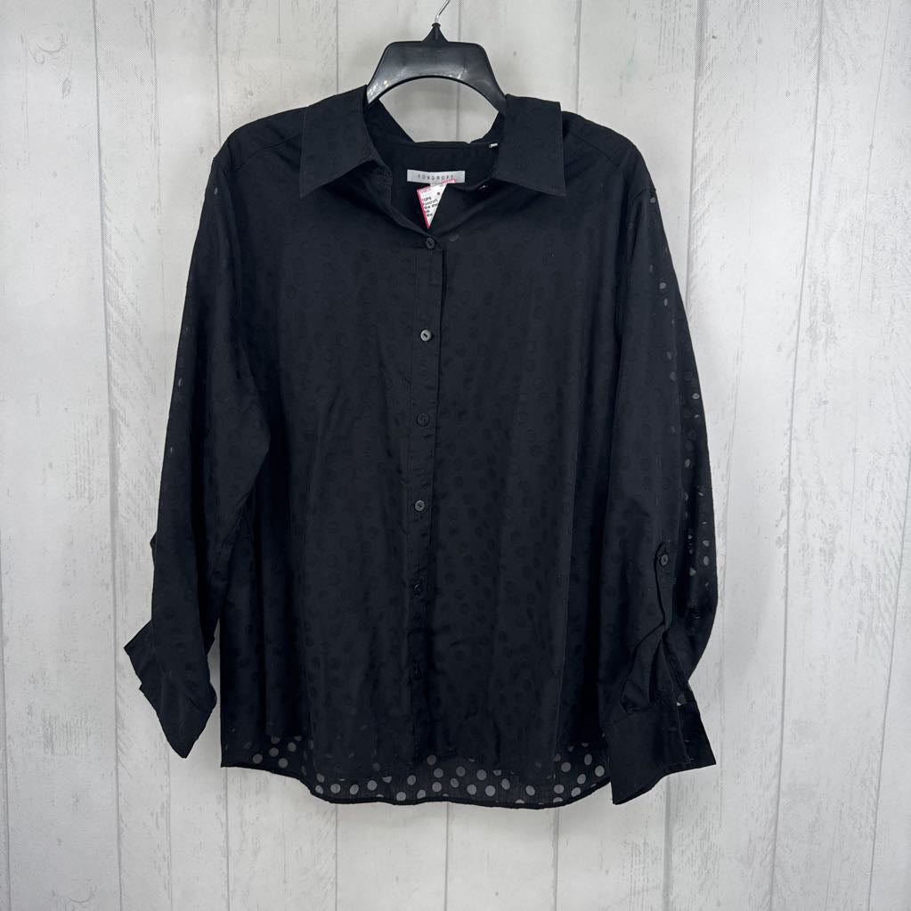 16w sheer dots button down l/s top