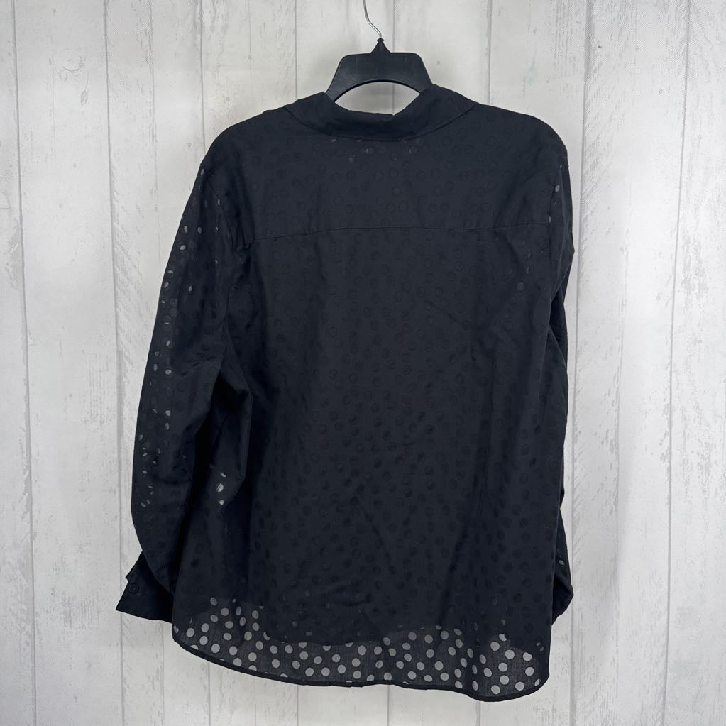 16w sheer dots button down l/s top