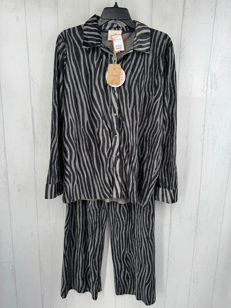 M 2pc velour zebra stripe pant set