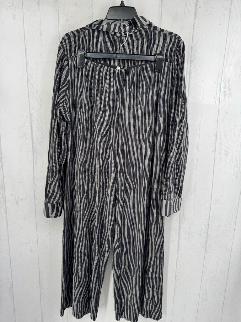 M 2pc velour zebra stripe pant set