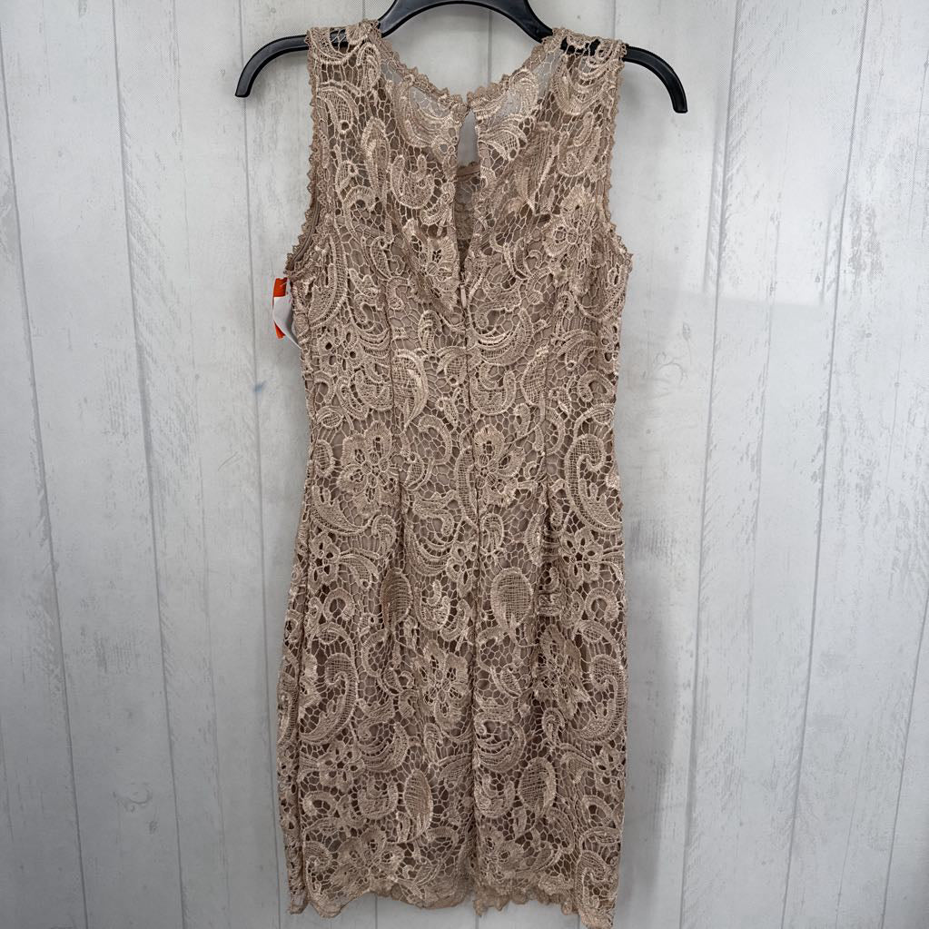M lace slvls dress