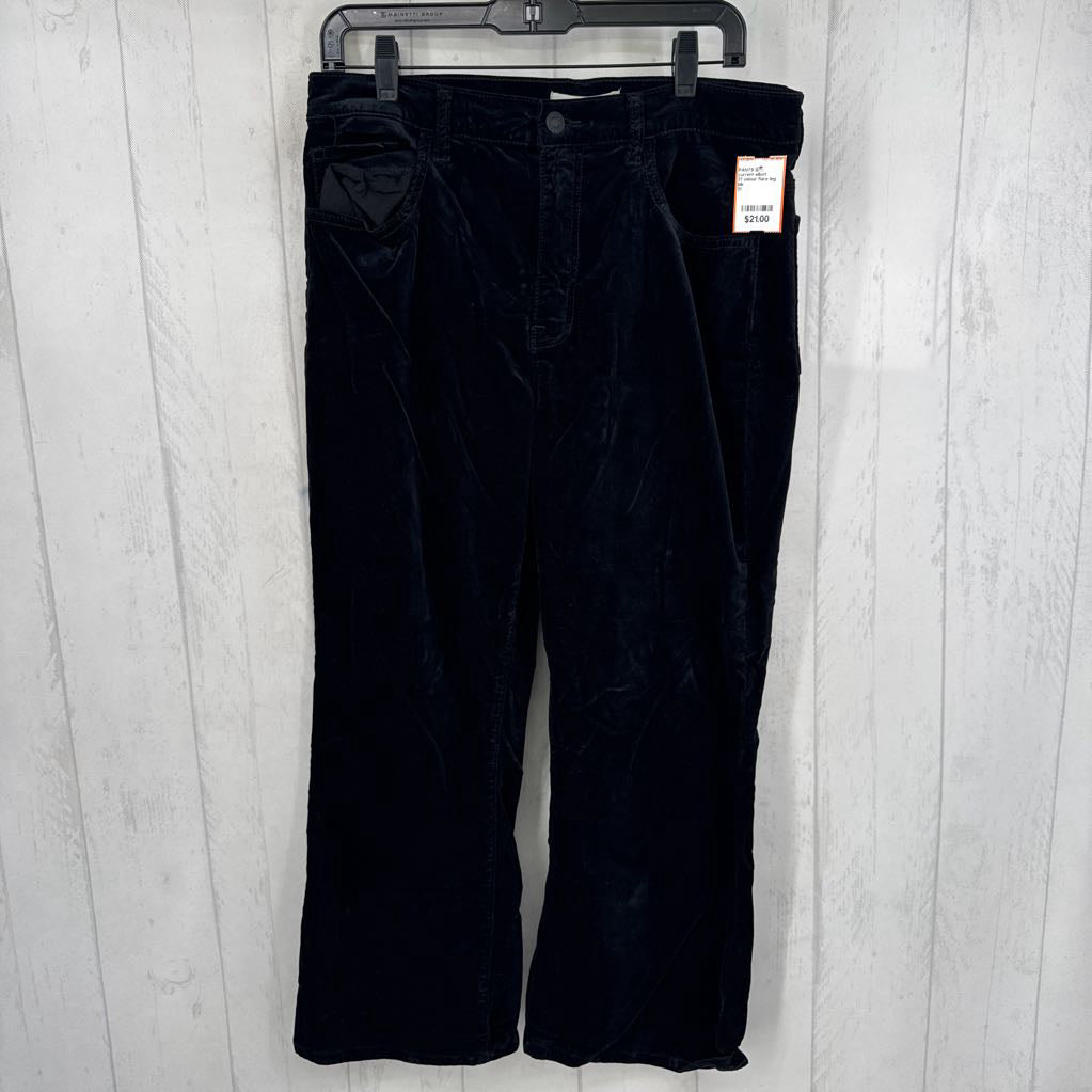 31 velour flare leg pant