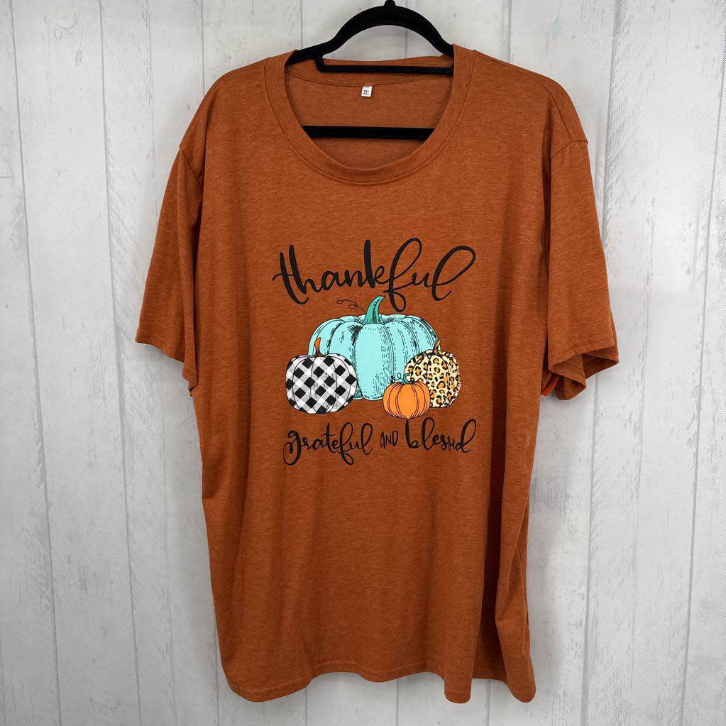 2XL graphic s/s tee-thankful