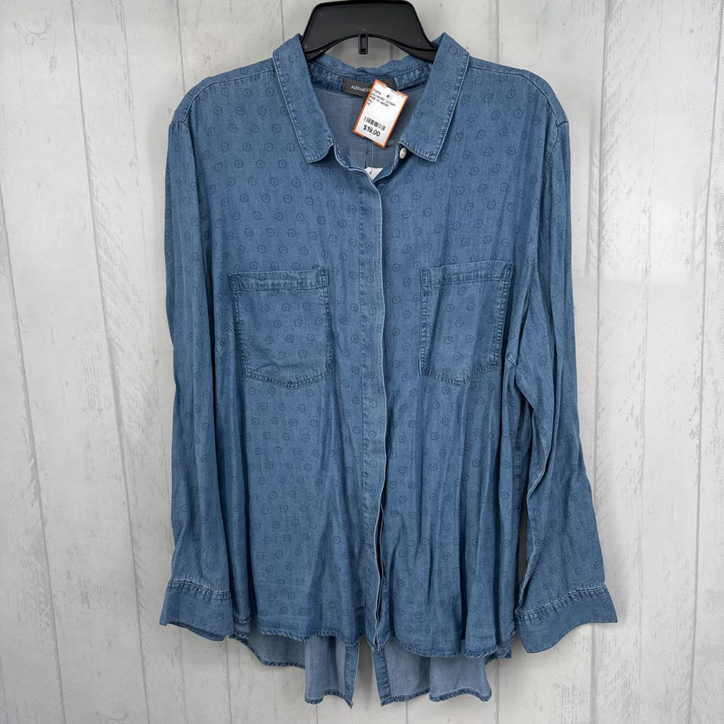 R69 1X denim button down l/s top