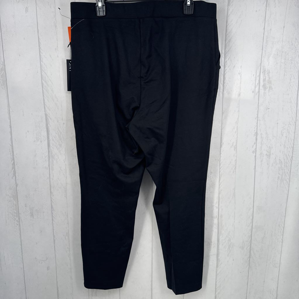 1X silver button pull-on pant
