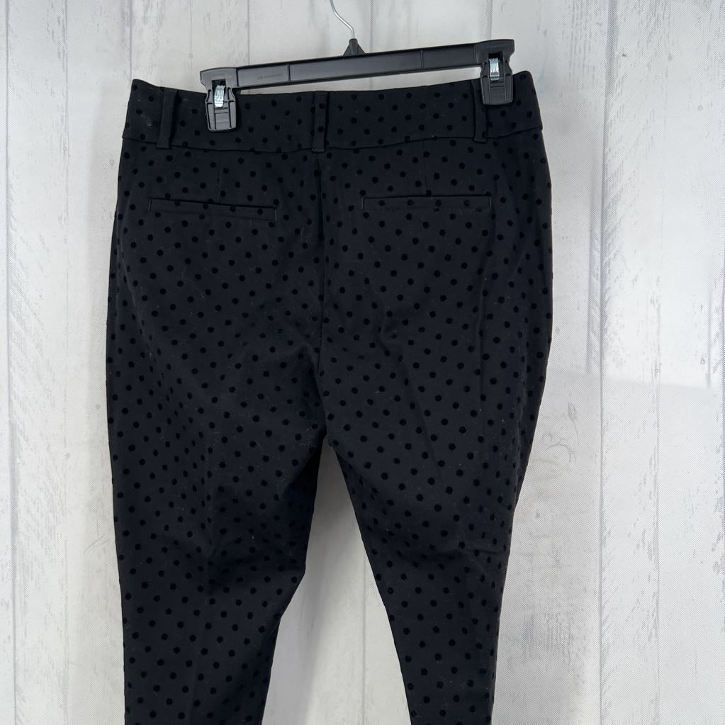 8p polka dot pixie pant