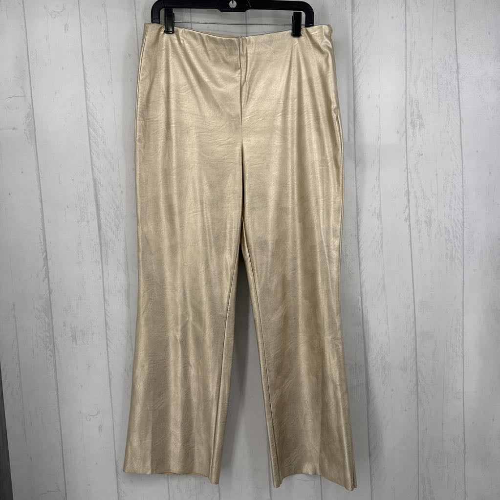 12 vegan leather pants